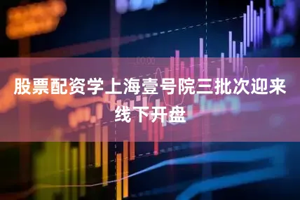 股票配资学上海壹号院三批次迎来线下开盘