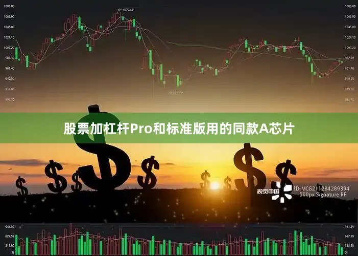 股票加杠杆Pro和标准版用的同款A芯片