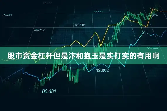 股市资金杠杆但是汴和抱玉是实打实的有用啊