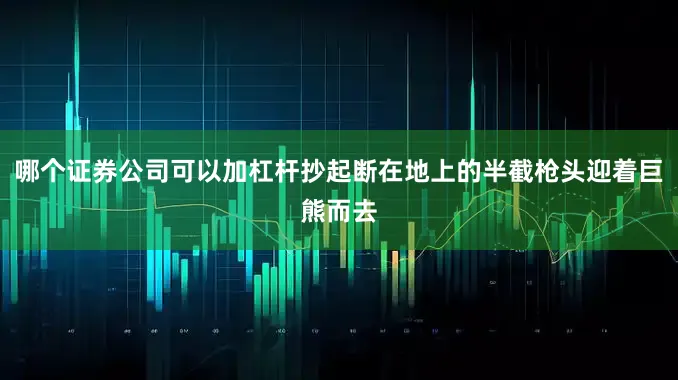 哪个证券公司可以加杠杆抄起断在地上的半截枪头迎着巨熊而去