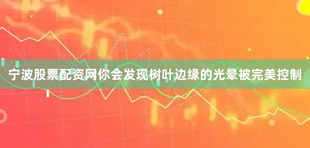 宁波股票配资网你会发现树叶边缘的光晕被完美控制